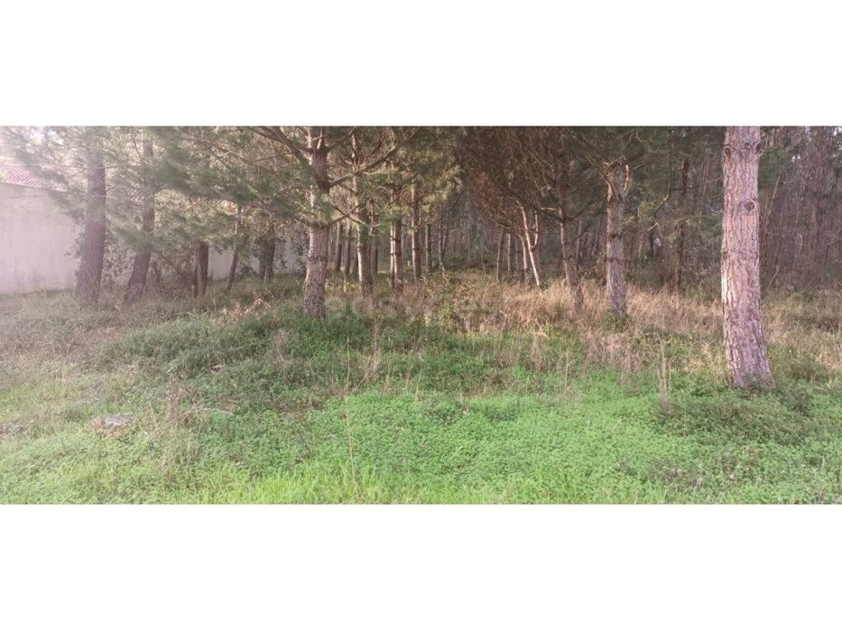 Terreno localizado em zona urbana com viabilidade para construção d... — Maceira, Leiria