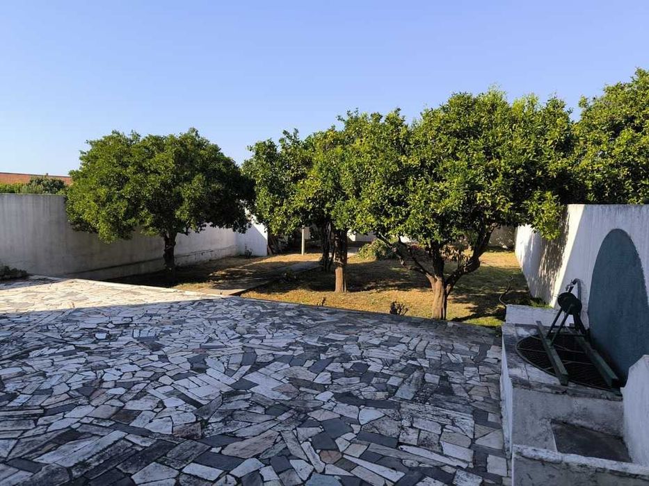 Moradia Independente no centro de Alpiarça - Oportunidade de negócio