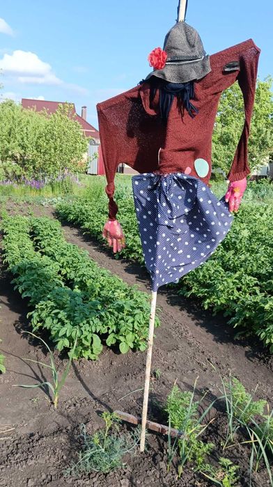 Продам будинок. В аренду не здається.