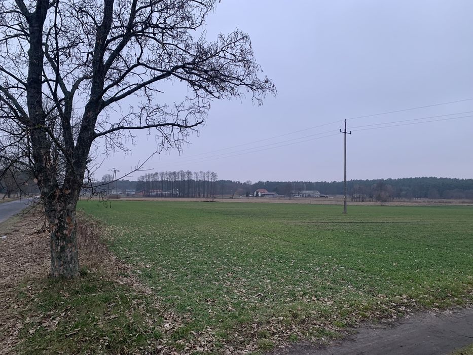 Sprzedam działkę budowalno rolną 2668 m² - Widok 2