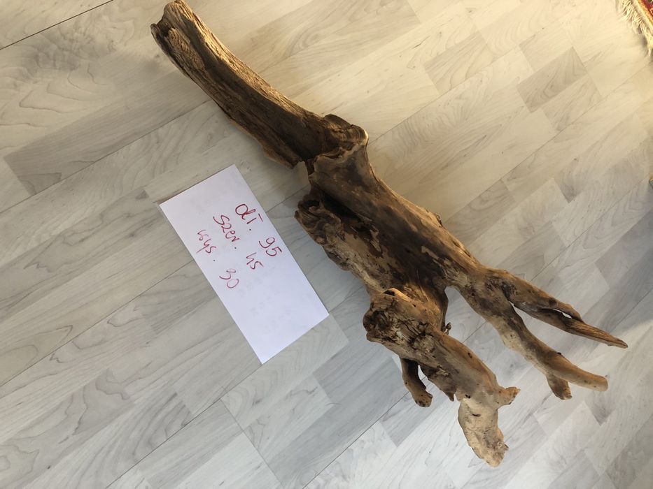 Duzy korzen do akwarium lub terrarium