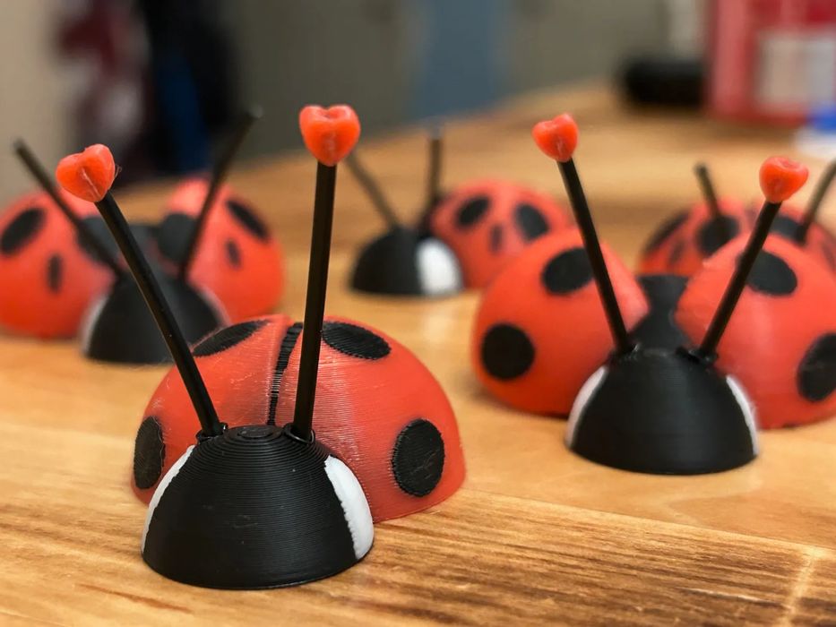 Insetos do Amor Magnéticos