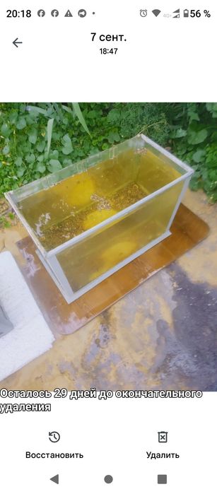 Аквариум декор террариум  не течет