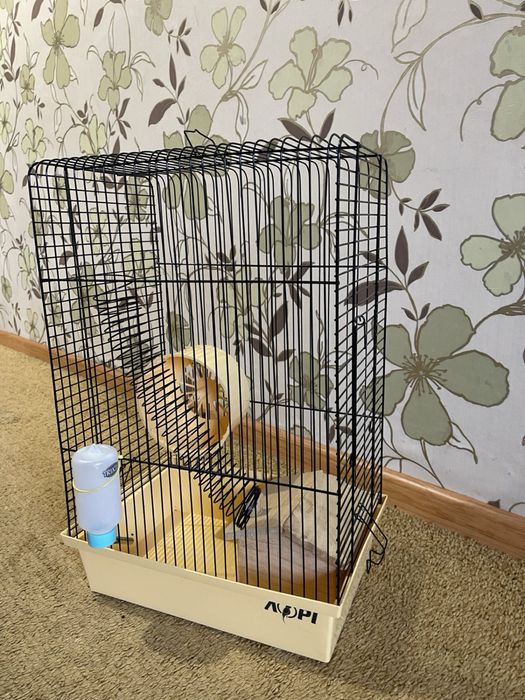 Клітка для домашніх гризунів або птахів