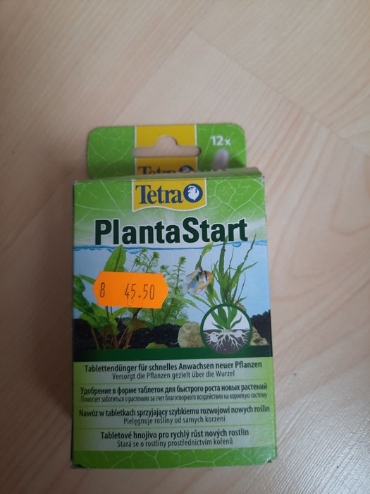 Planta start 12szt