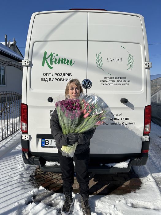 Опт зріз тюльпана, тюльпан 14 лютого та 8 березня