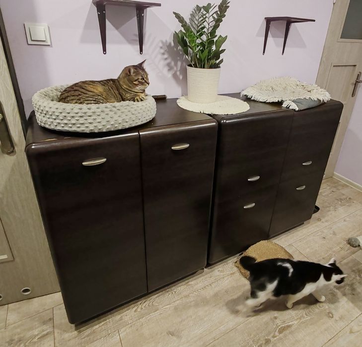 Meble Tauri Black Red White