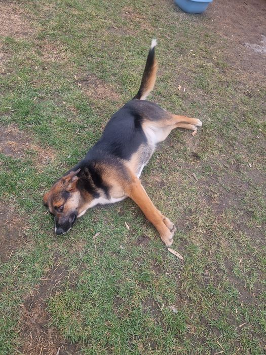 Oddam w dobre ręce.