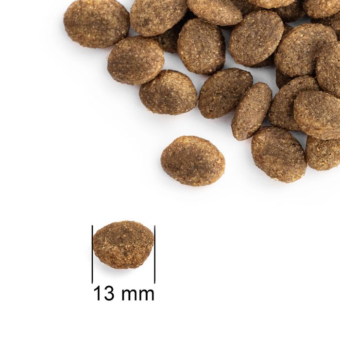 Корм для собак Суперпреміум з Свіжим Лососем PRACTIK SIMPLE 10 кг