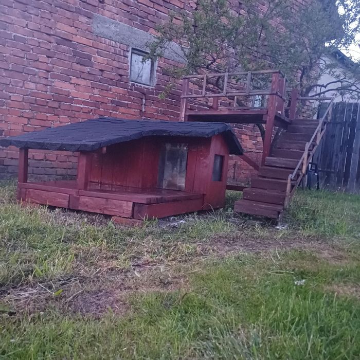 Buda dla psa z tarasem