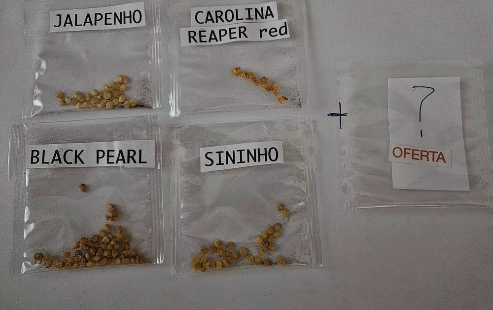 Kit 120 sementes,pimentas picantes+sementes em OFERTA  e sem portes