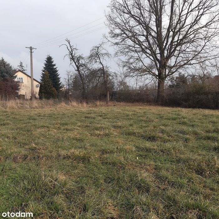 Działka 5600m2 - Brzyków