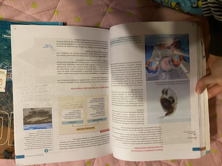 Manuais Biologia e Geologia 11°