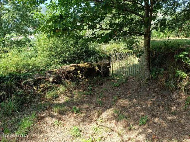 Quinta com 2 Hectares e Casa em Pedra para Recuperar em Gomide, Vila V