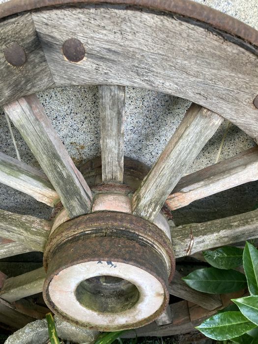 Roda de carro bois antiga