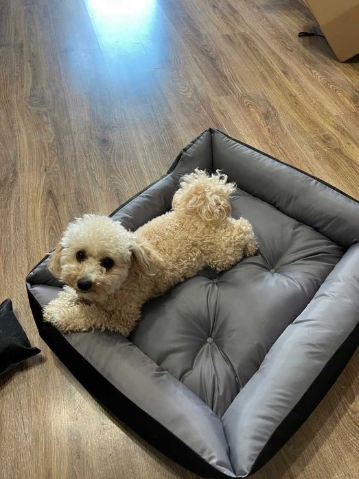 Mocne Legowisko Dla Psa Kota Wodoodporne 75x65 cm + Gratis 2x poduszki