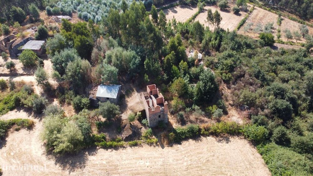 Terreno em  Candosa, Tábua — Candosa, Coimbra