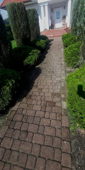 Mycie Kostki Brukowej, 10 lat Doświadczenia