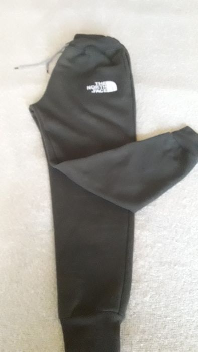 Штани спортивні the north face