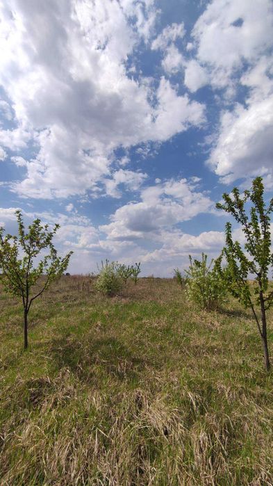 Продаж земельної ділянки с.Красне Обухівського р-ну 12+6 соток
