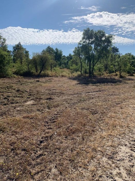 Quinta do anjo/Palmela Terreno Urbano 9625m2 Palmela • OLX Portugal