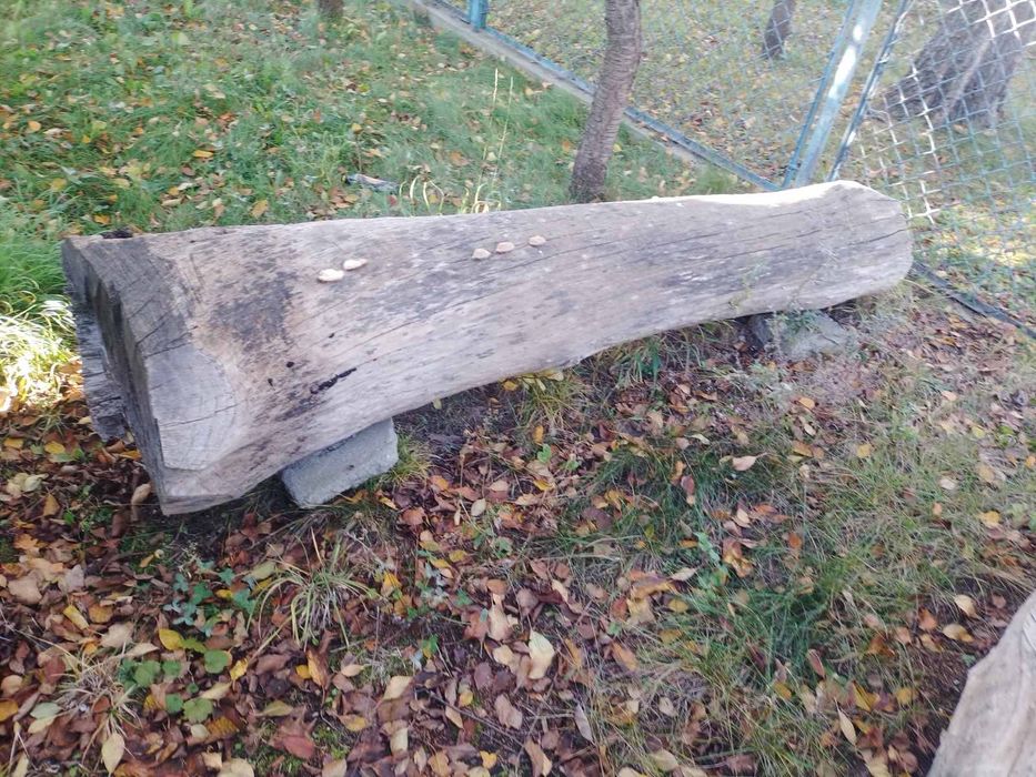 Деревина ясен (сухий)