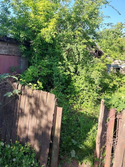 Комплексная уборка земельных и дачных участков по Кривому Рогу.