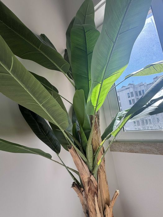 Bananeira artificial 180cm de qualidade superior