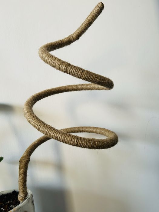 Palik do roślin spirala