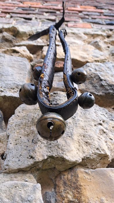 Janczar dzwonki konne