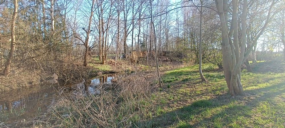 Działka z WZ ( bezterminowo )