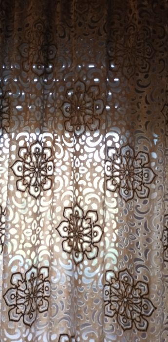 Cortinados gato preto