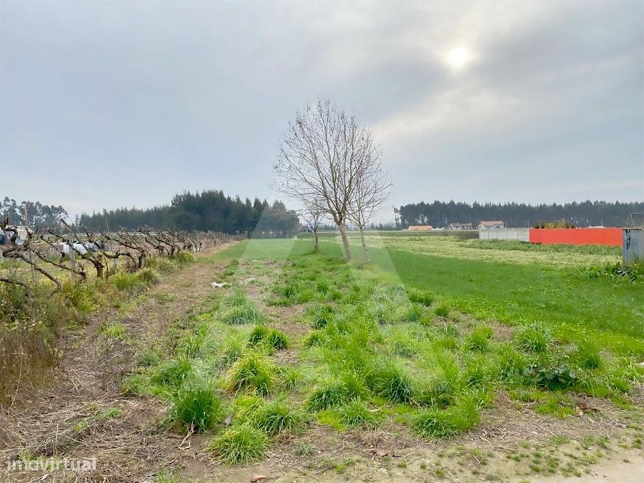 Terreno em São Bernardo