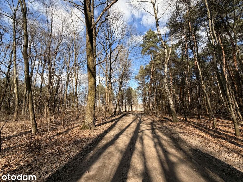 Rusiec, ul. Lisia | działka budowlana 2300 m² | leśny klimat | MPZP