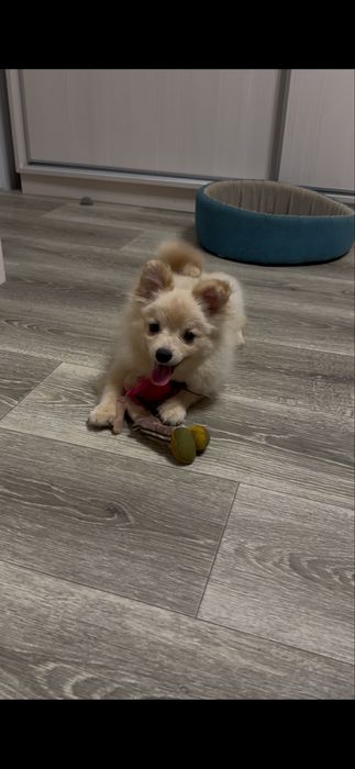 Два хлопчика від різних мамочек.