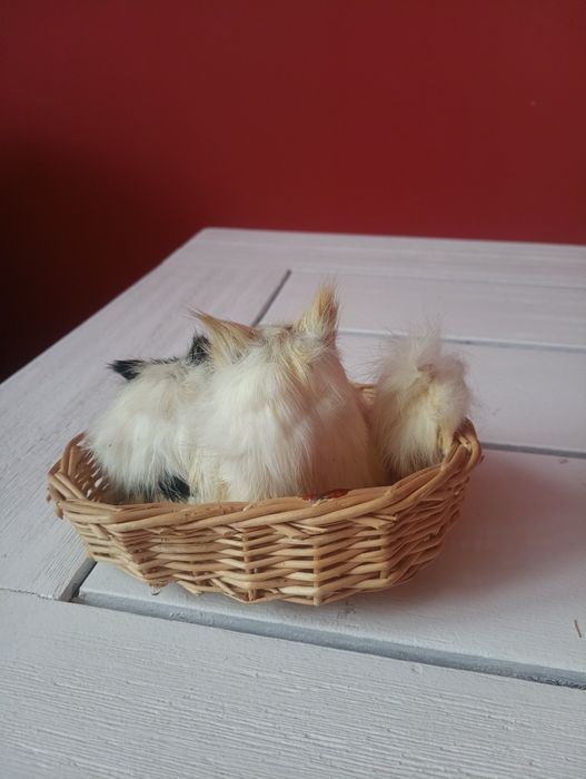 Dwa kotki w koszyku