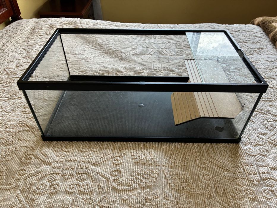 Conjunto de aquário/terrário + filtro