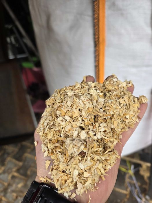 Czyste trociny/wióry z drewna od GALAX