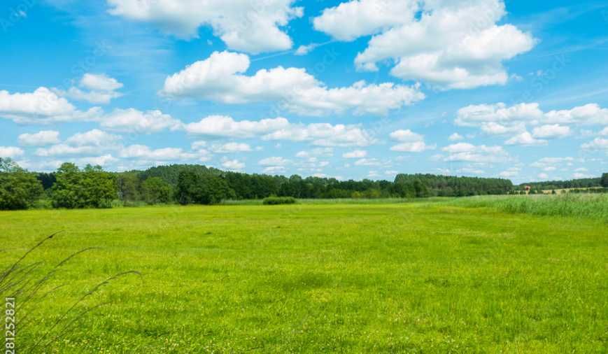 17,11  hektarów gruntów rolnych - łąk, blisko siebie