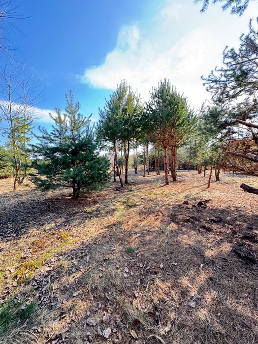 DZIAŁKA REKREACYJNA 591 M² | 600 m od plaży | Chańcza
