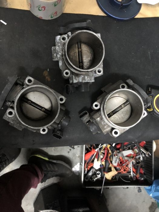 Borboletas clio sport