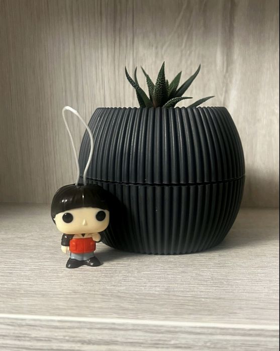 Віл з дивні дива