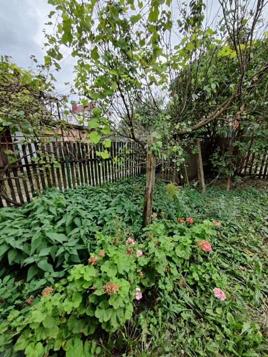 Продам будинок в Хмільнику