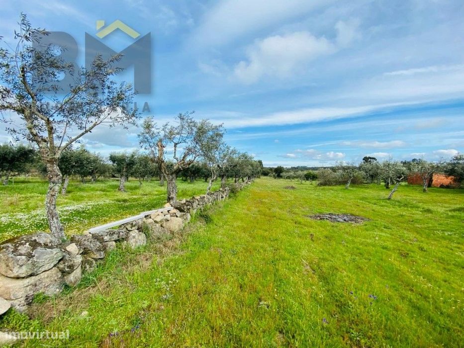 Quinta em zona rural tranquila