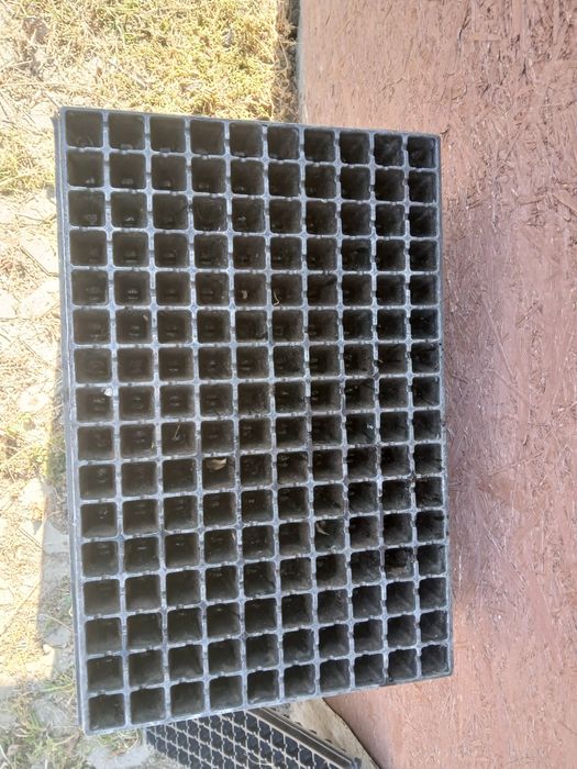 Tacki na rozsadę 160 oczek