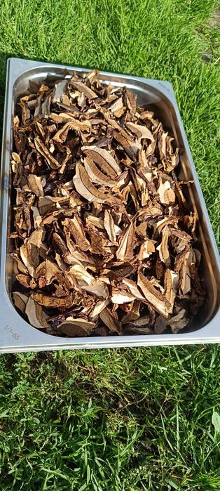 Podgrzybki suszone 1 kg susz  grzybowy Grzyby suszone