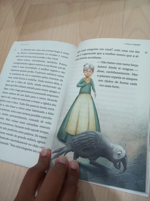 Livro "A Viúva e o Papagaio"