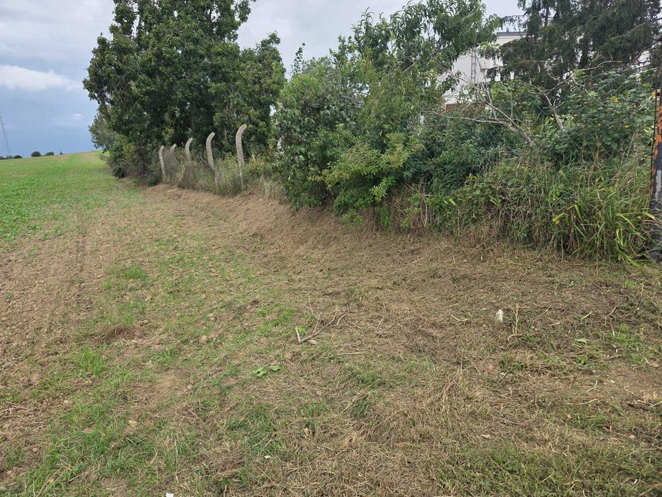 Usługa wykaszania zaniedbanych terenów zielonych