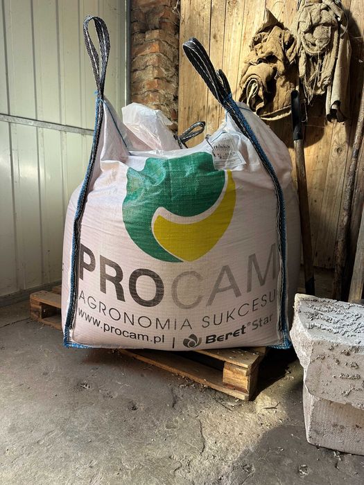 Pszenica ozima Vanilia - kwalifikowany materiał siewny 500 kg
