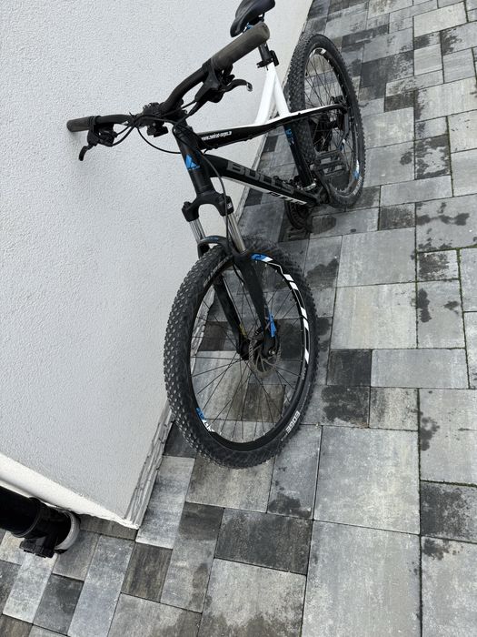 Rower BULLS ………………